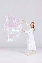 Praise Dance Flag with Rod