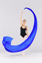 Long Flowing Praise Dance Streamer with Rod