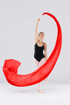 Long Flowing Praise Dance Streamer with Rod