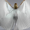 Opening Silver Worship Angel Wing