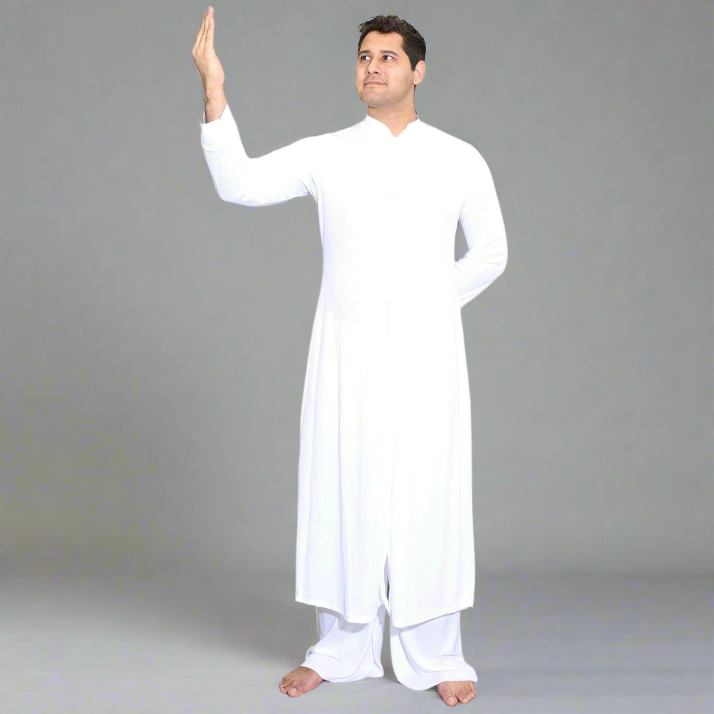 Stand Collar Long Button Front Mens Robe