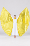 Gold Shiny Metallic Angel Wings