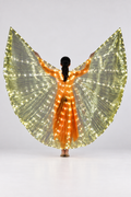 Adult Transparent Gold LED Dance Wings