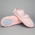 Danzcue Ballet Slipper Women's Canvas Split Sole Ballet Shoes - Pink