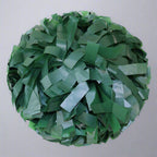 Danzcue 1 Pair 6" Baton Handle Plastic Cheerleading Pom Pom - Kelly Green