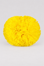 14-Inch Plastic Cheerleading Pom-Poms with Handles (Pair)