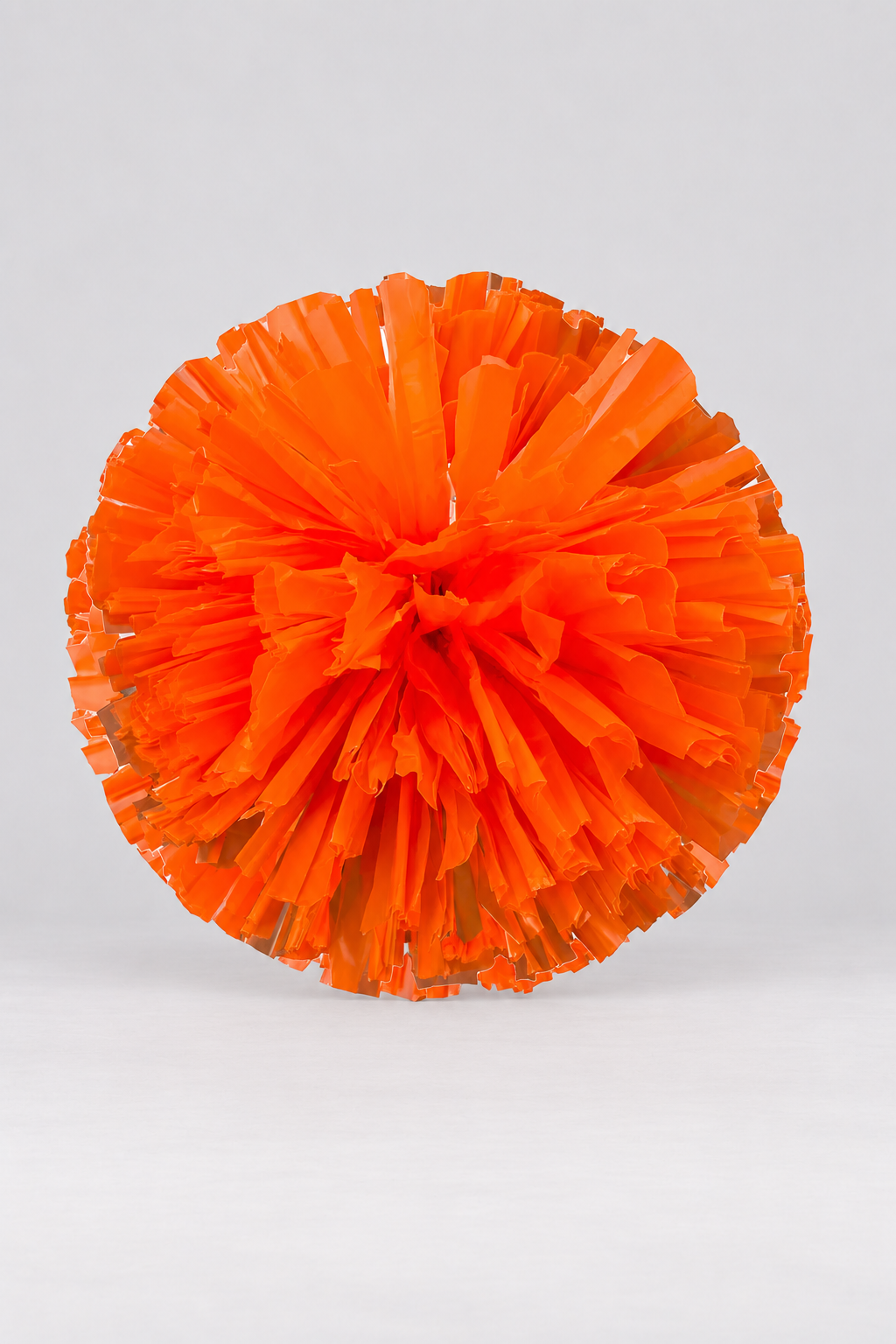 Danzcue 2PCS 6 Inch Plastic Cheerleading Pom Poms with Handle