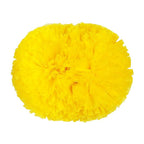 Danzcue 2PCS 6 Inch Plastic Cheerleading Pom Poms with Handle - Yellow