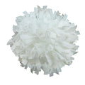 Plastic Flake Cheerleading Hand Pom Pom