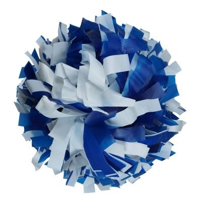 Plastic White and Plastic Royal Blue 6 Pom - I Love Cheer®