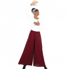 Source Chiffon Ballet Pants Transparent Wide Leg Modern Dance Mesh Ballet  Practice Pants on m.alibaba.com